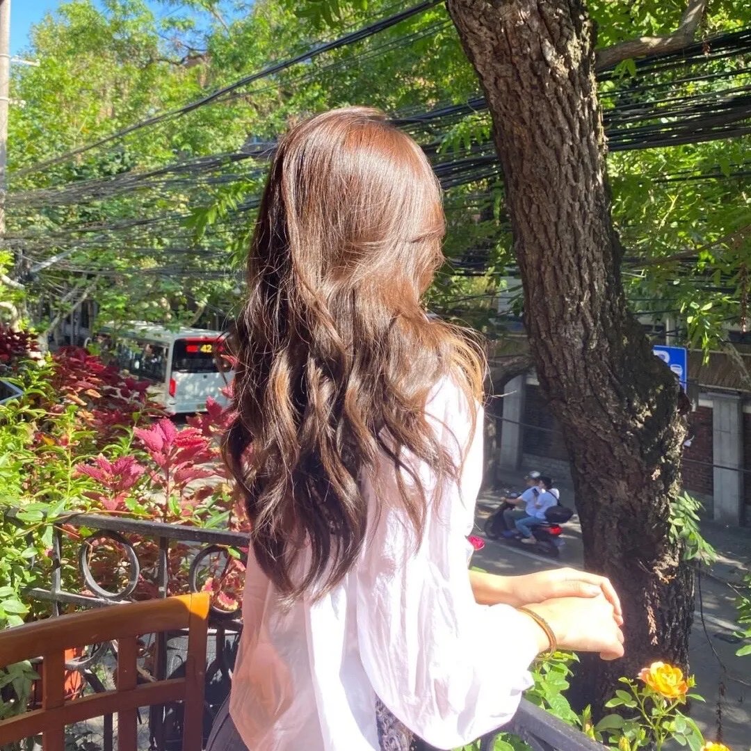 大象家族